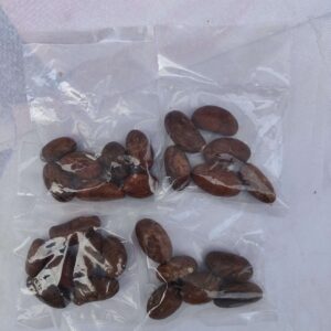 50g Juicy Bitter Cola (x6)
