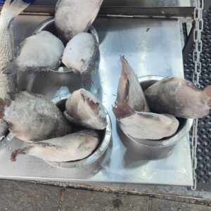 Tilapia Fish (3 pieces)