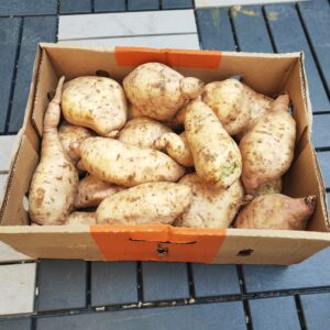 Ugandan Sweet potatoes (Box)
